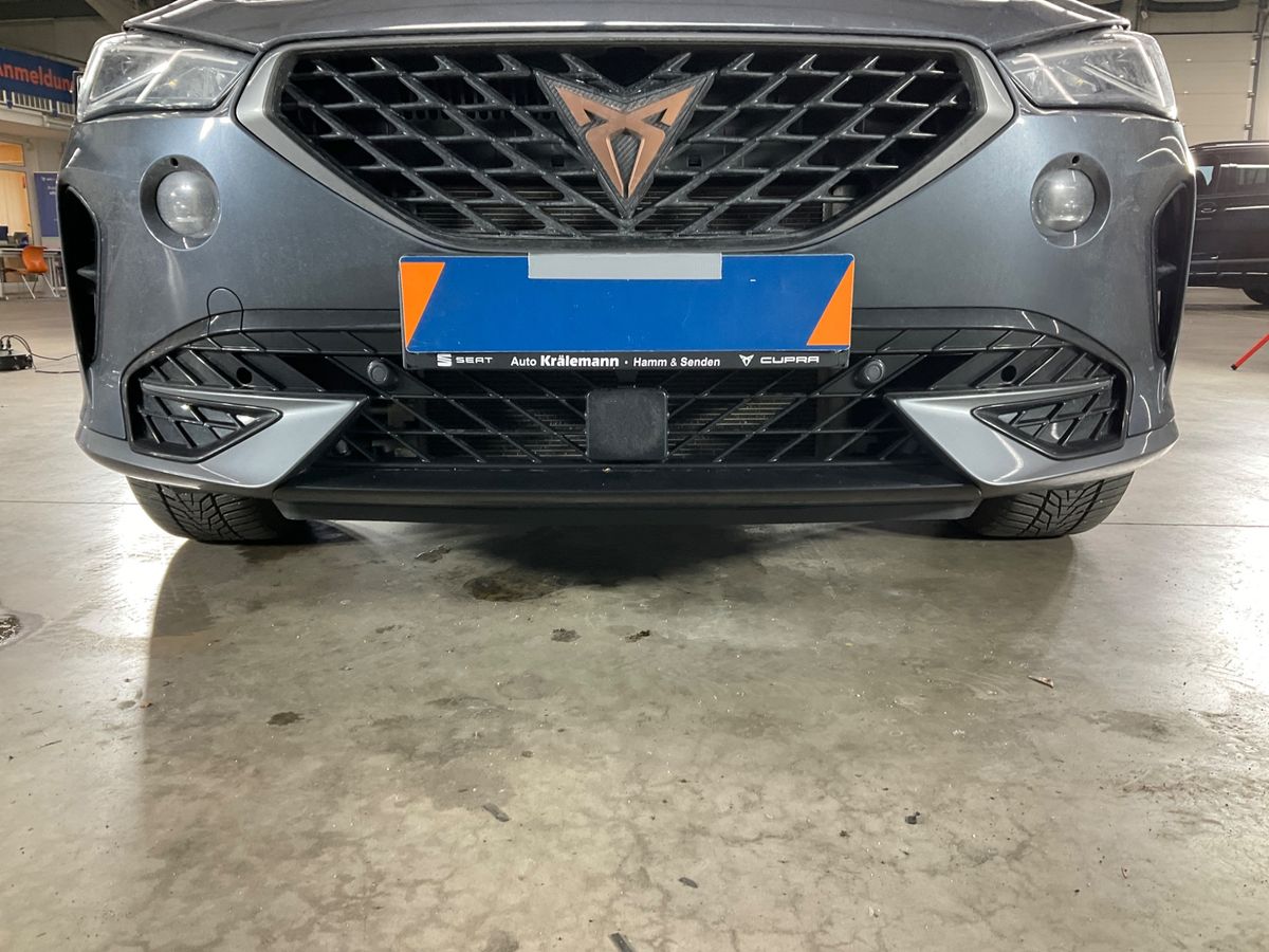 Cupra Formentor 2.0 TSI VZ DSG photo 27