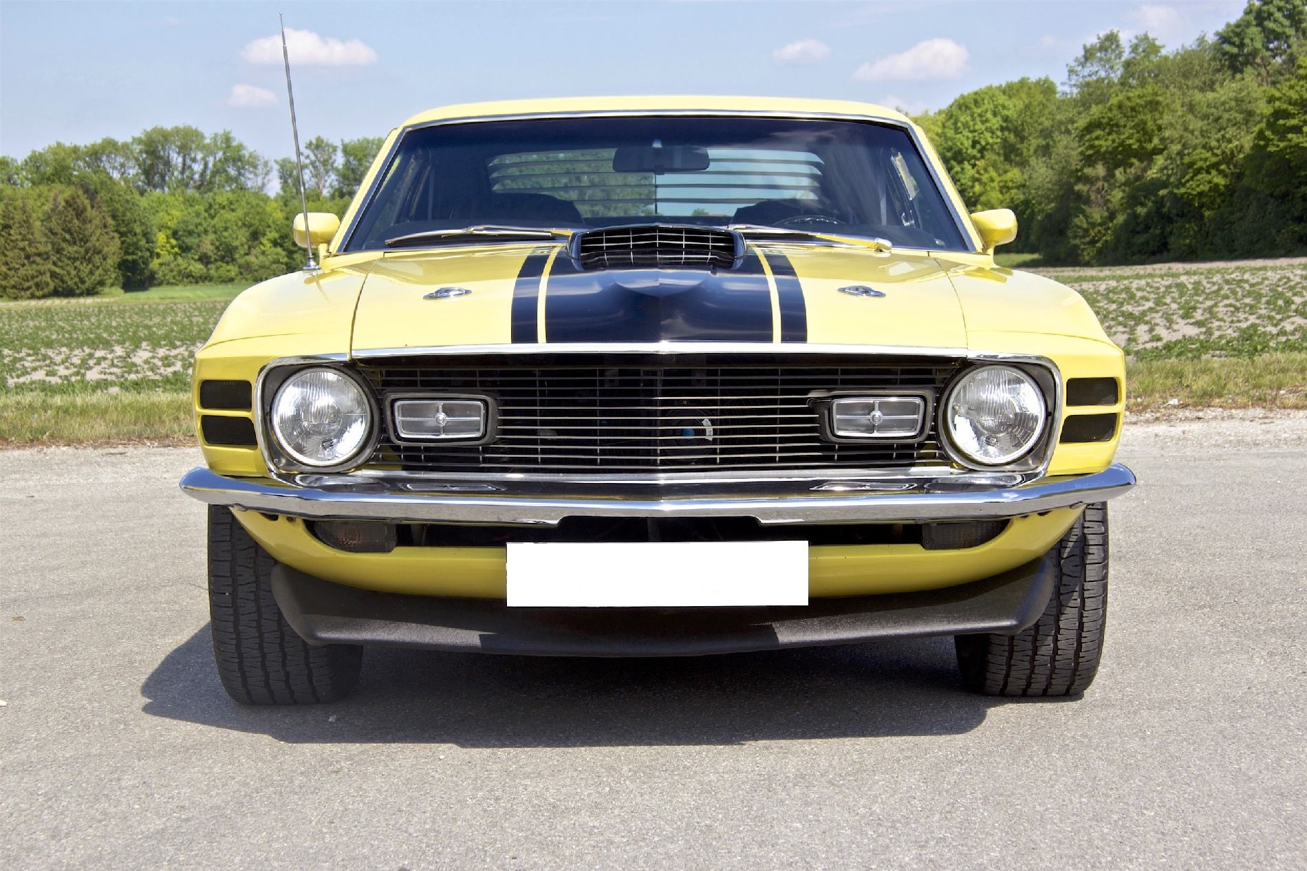 Ford Mustang Mach 1 M-Code Fastback photo 18